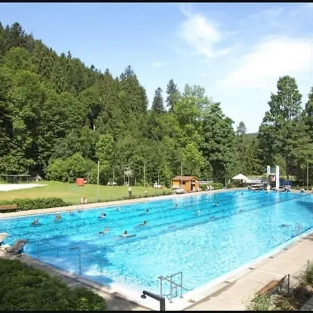 Sumeja Apartment Triberg im Schwarzwald