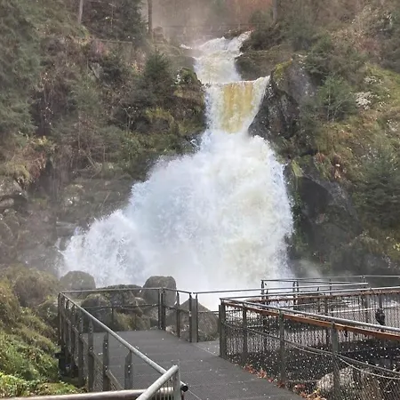 Sumeja * Triberg im Schwarzwald